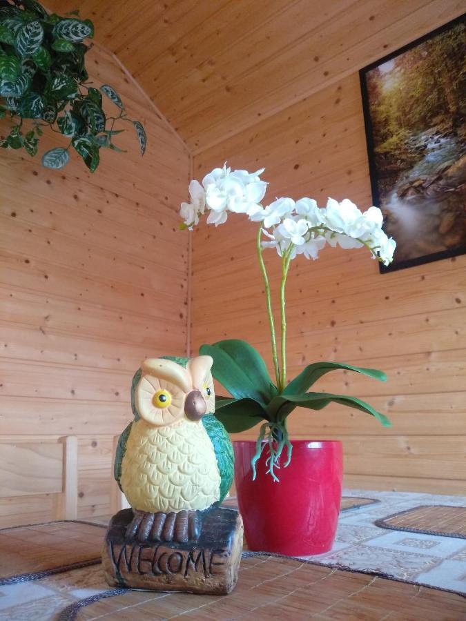 Holiday home Pod Zukowcem Solina (Podkarpackie)